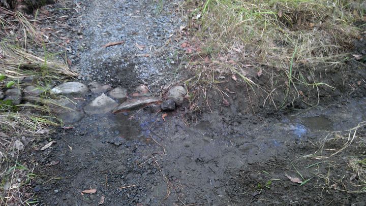 Creek, Drainage