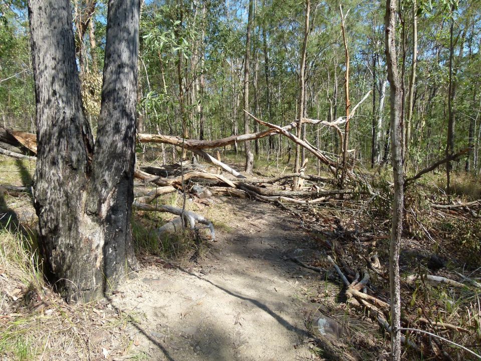 A minor trail blockage!