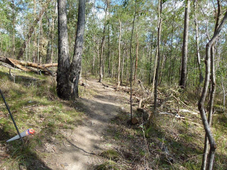 Cleared trail