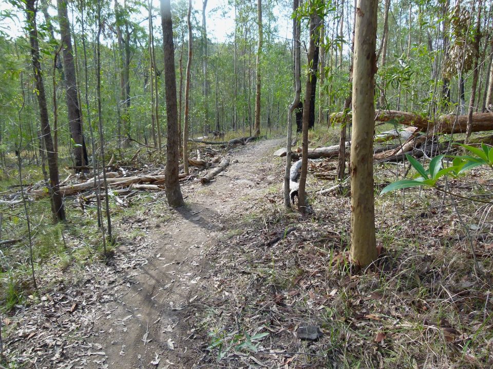 Clear trail