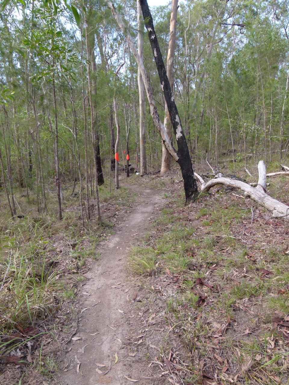 Trailwork markers - easy to see at a distance