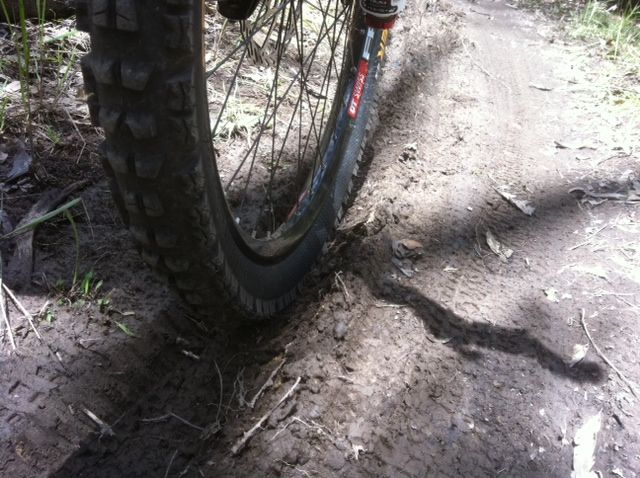Wheel rut 1