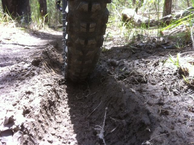 Wheel rut 2