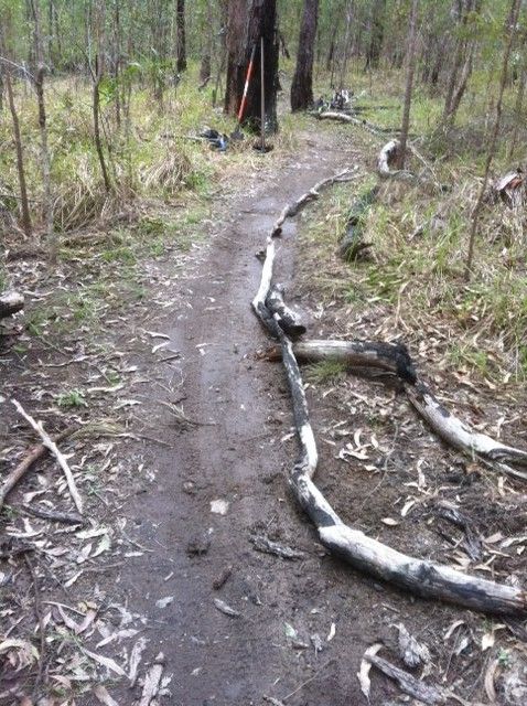 Temporary line
