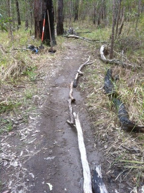 Temporary corral 2