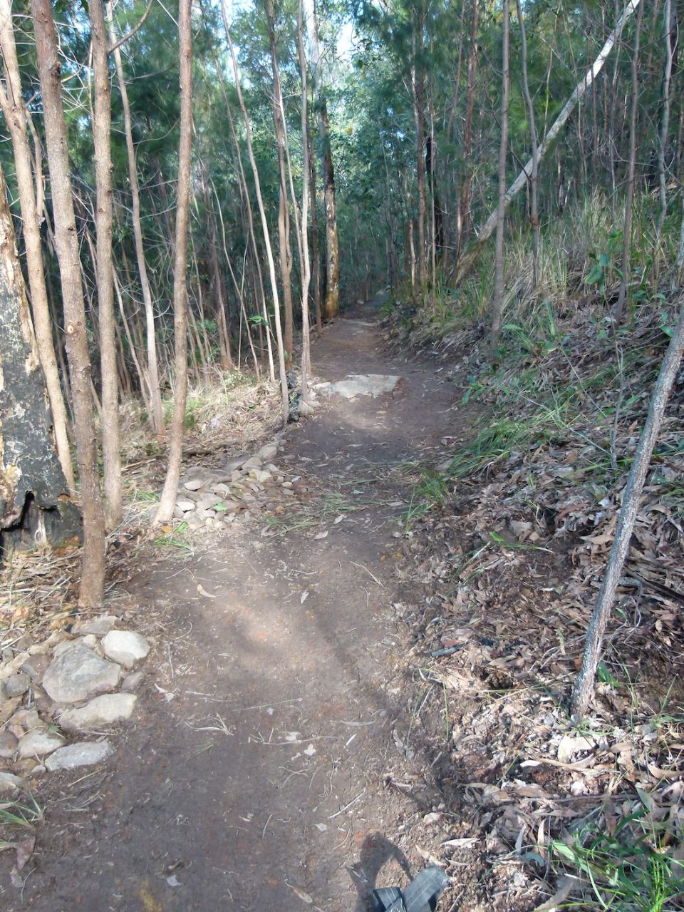 Trail coming together
