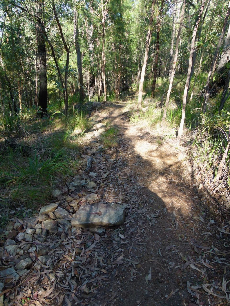 New trail line after 4 months