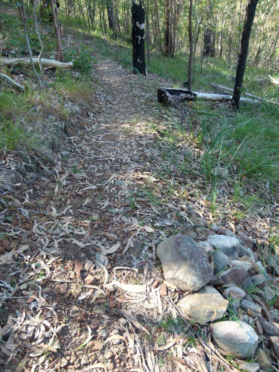 Trail narrowing, but sightlines open