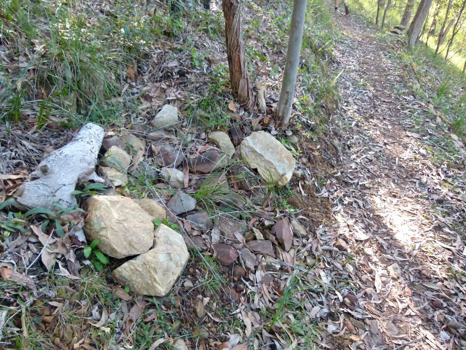 Rock garden off the trail