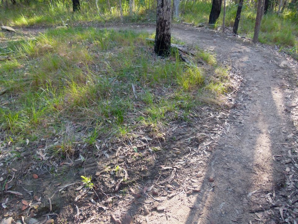 New turn line