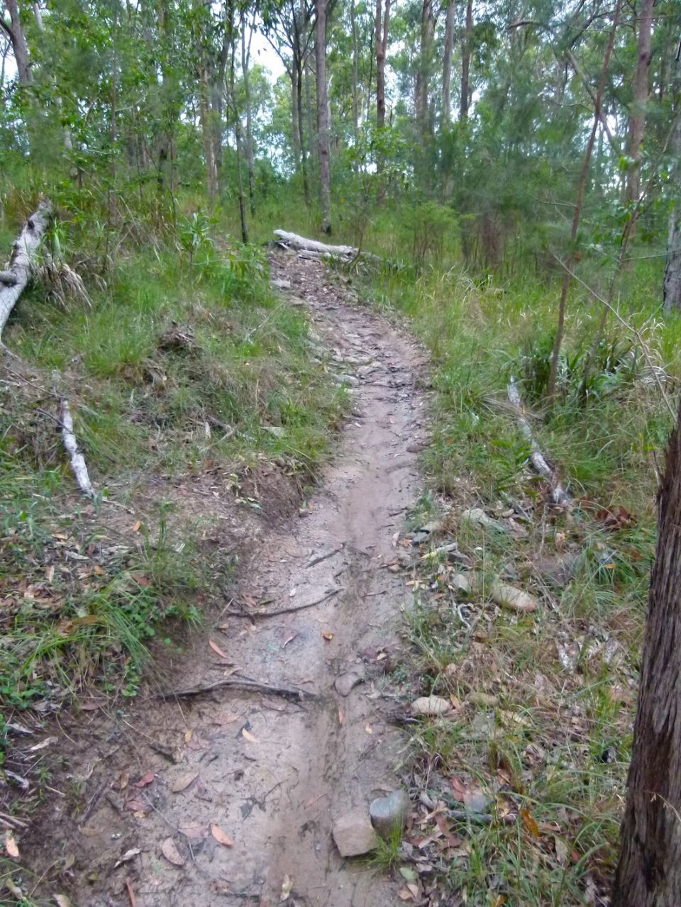 A "less" eroded section of old lower Pete's