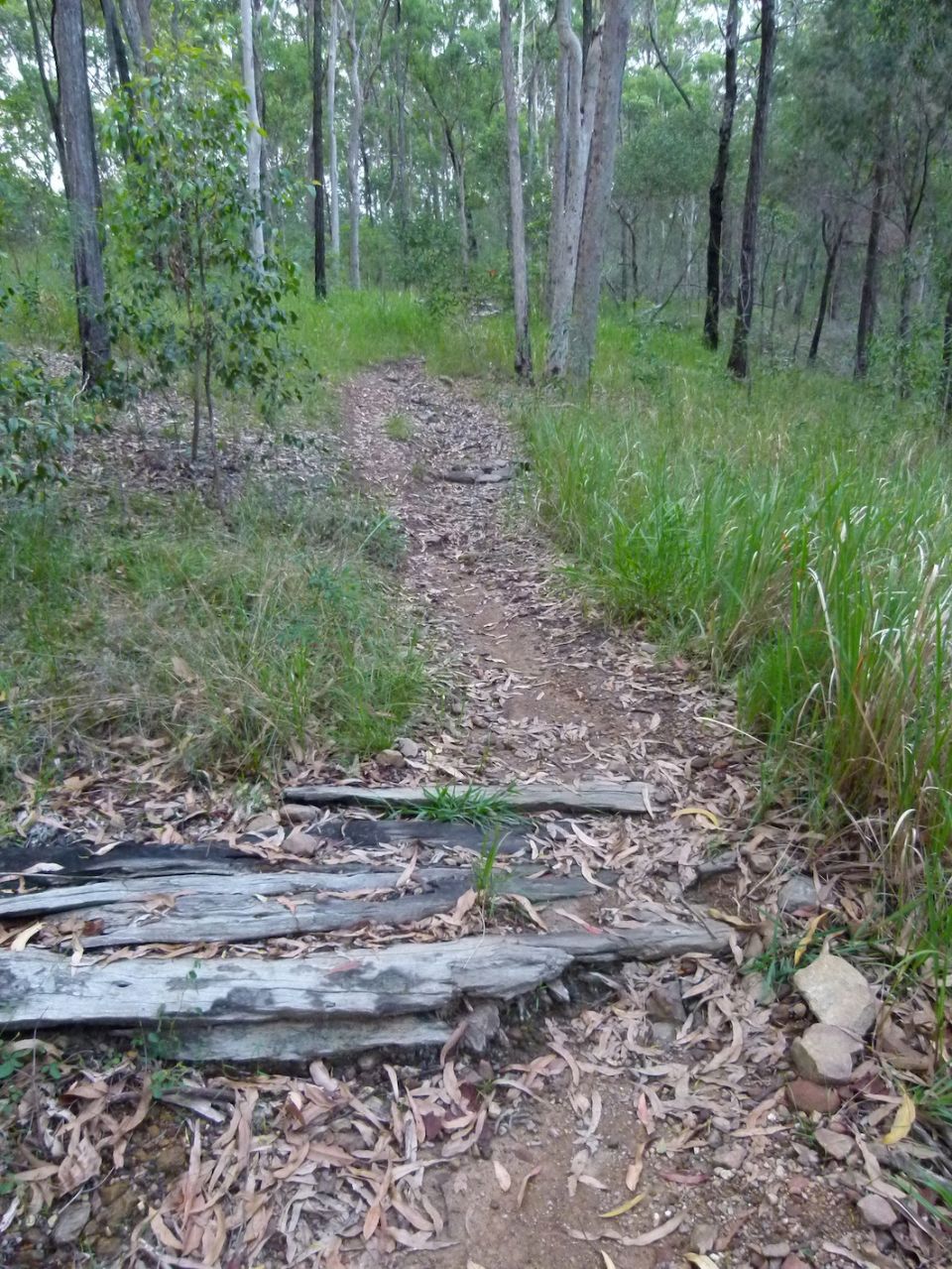 A section of widened trail before closure