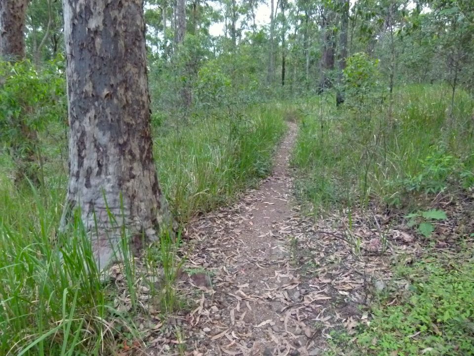 A flat section of trail to be closed