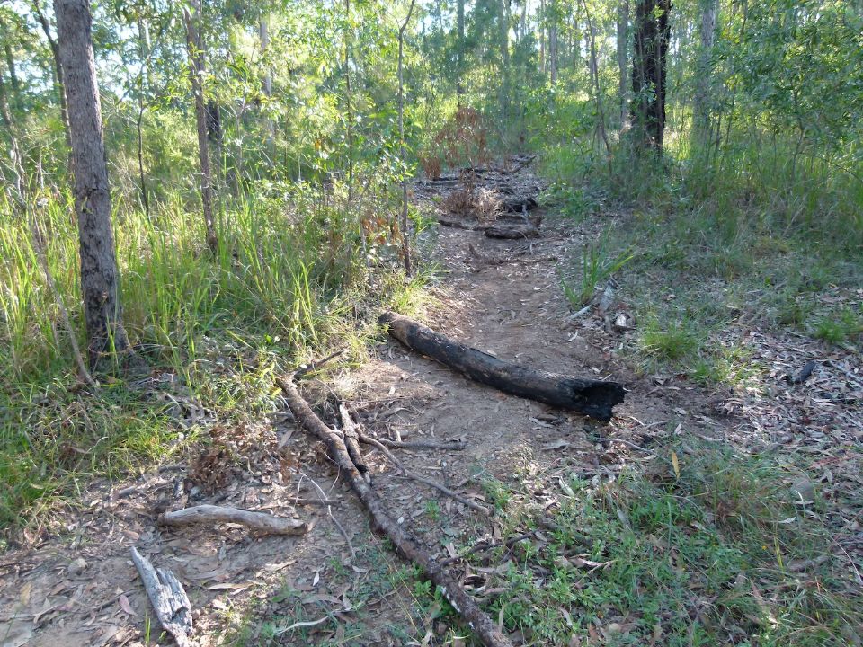 Drains and timber as closures