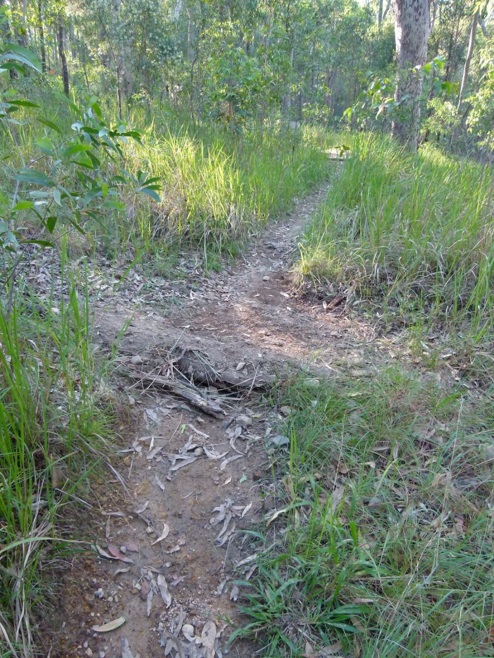 Even flat sections need drains