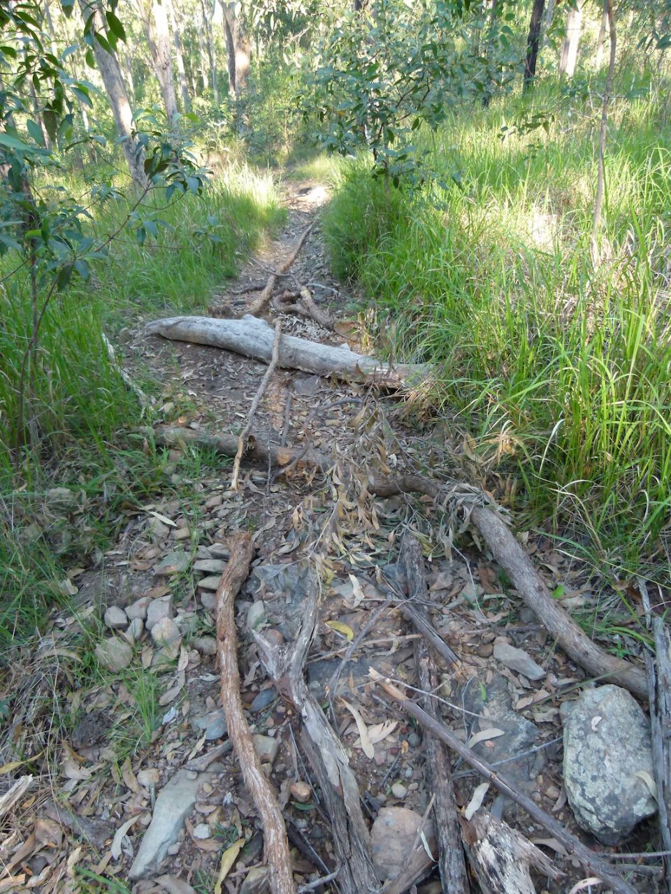 Pete's trail closure near the top