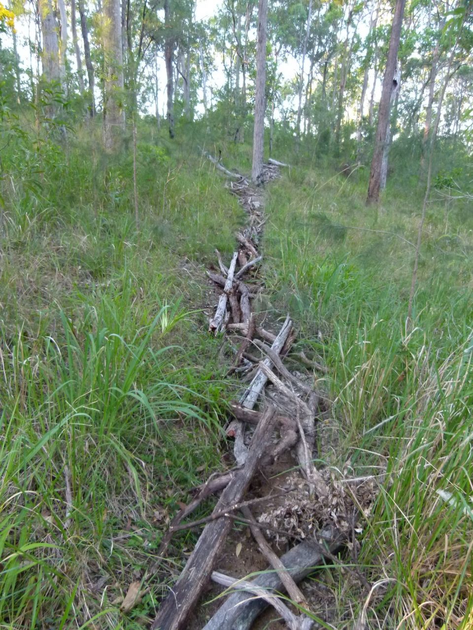 Finally, un-sanitised trail