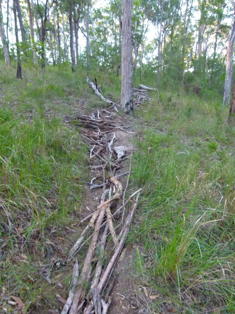 Technical trail?