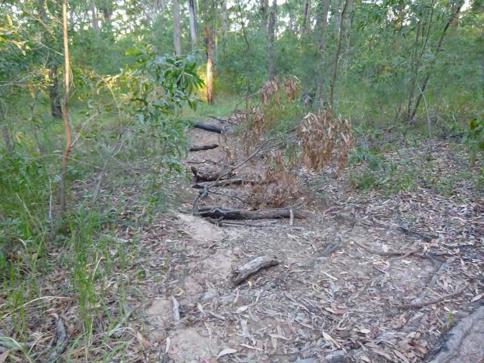 Drain below some over-filled roots and added debris