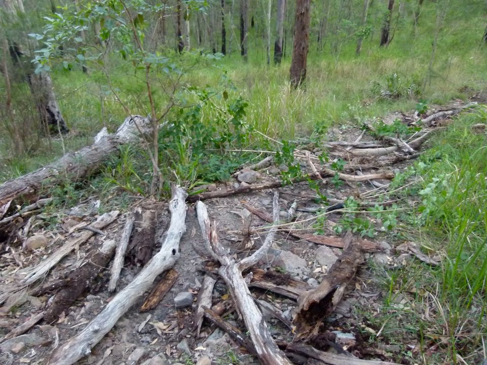 Lantana added to trail closure