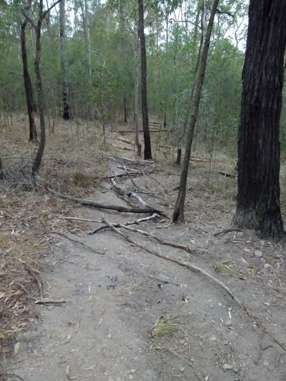Open trail closed