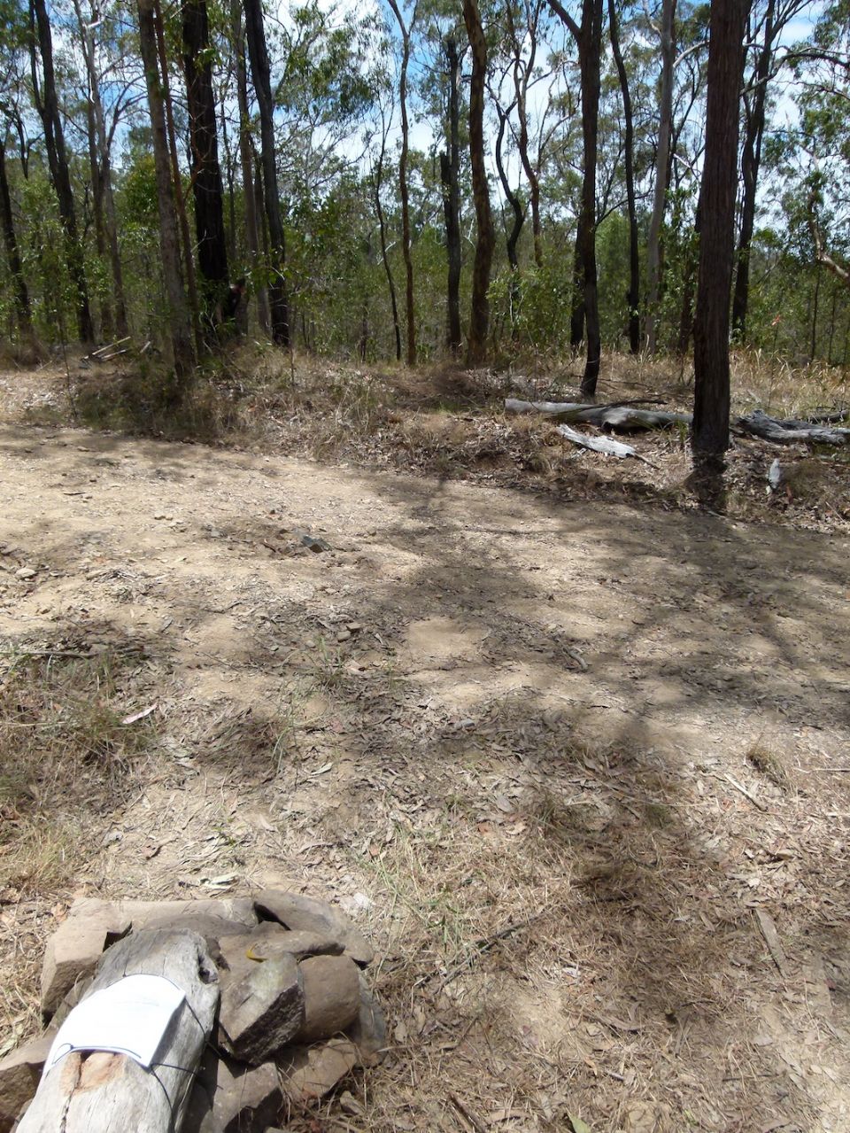 Trail will cross here