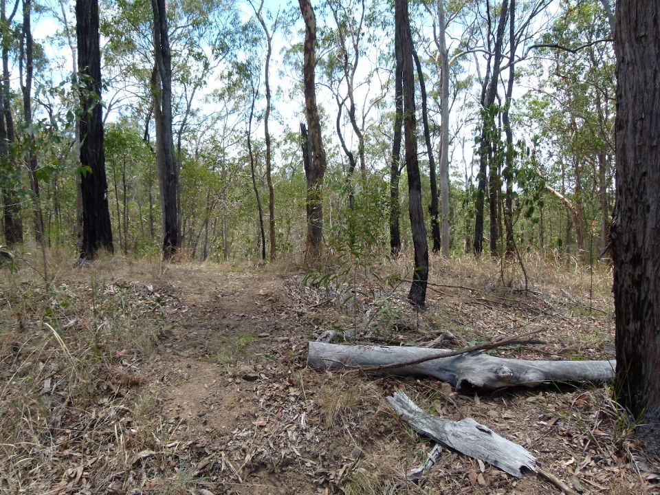 Trail goes here