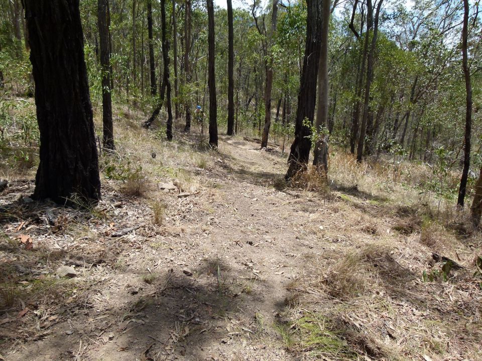 Soon the rider in the distance will come this way