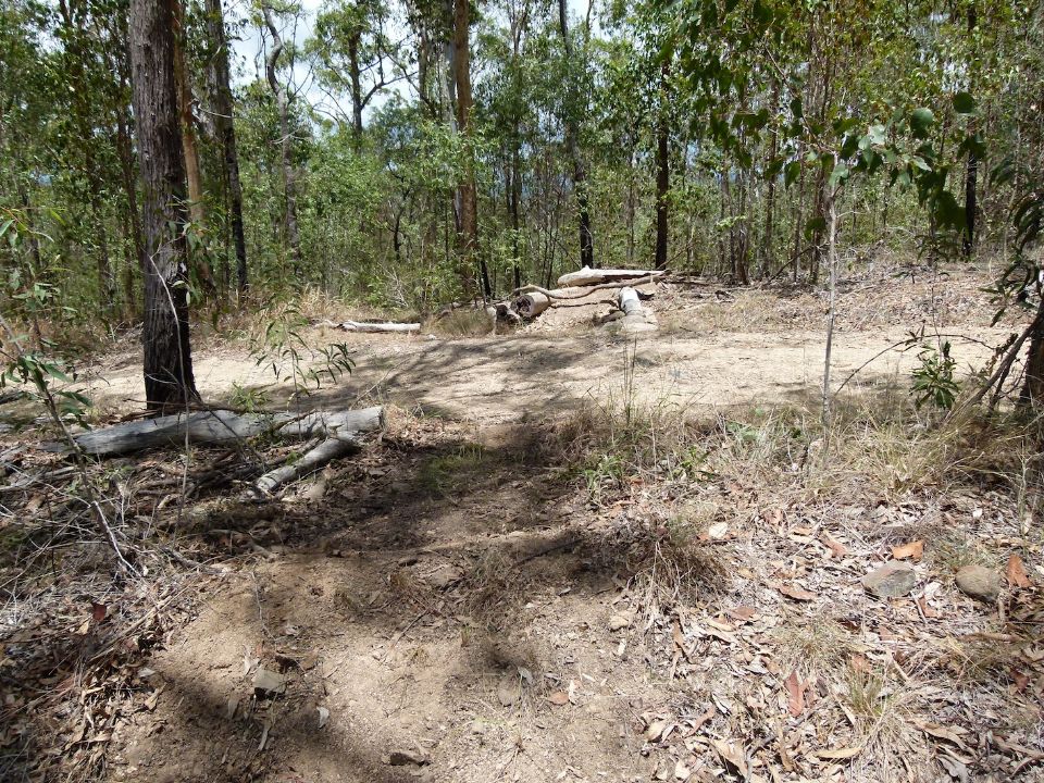 Near the fire road