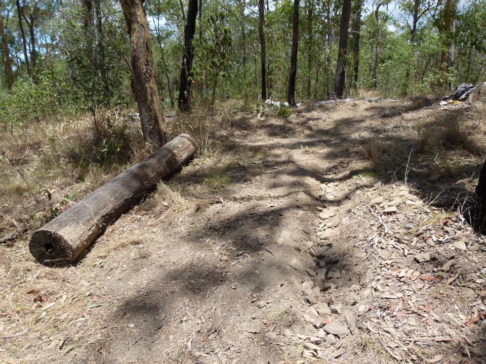 Log ready to position in trench