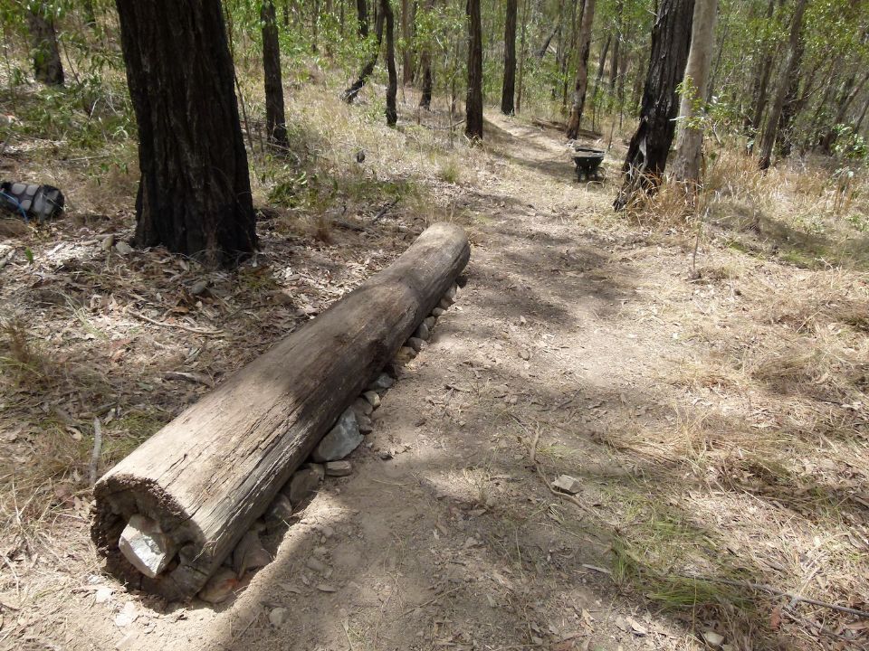 Log ride positioned