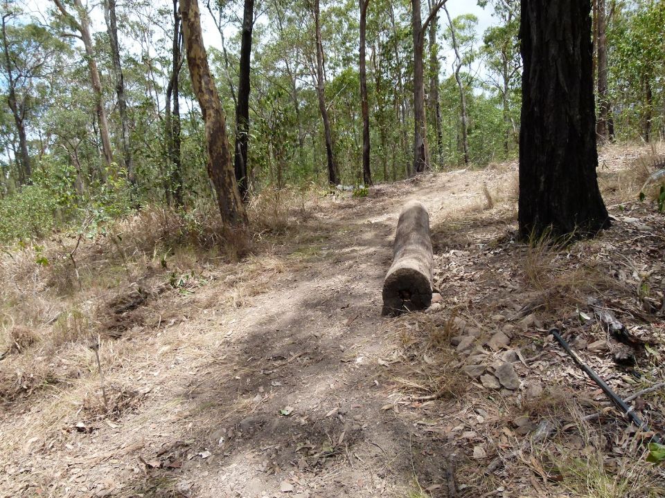 Log above trail from below