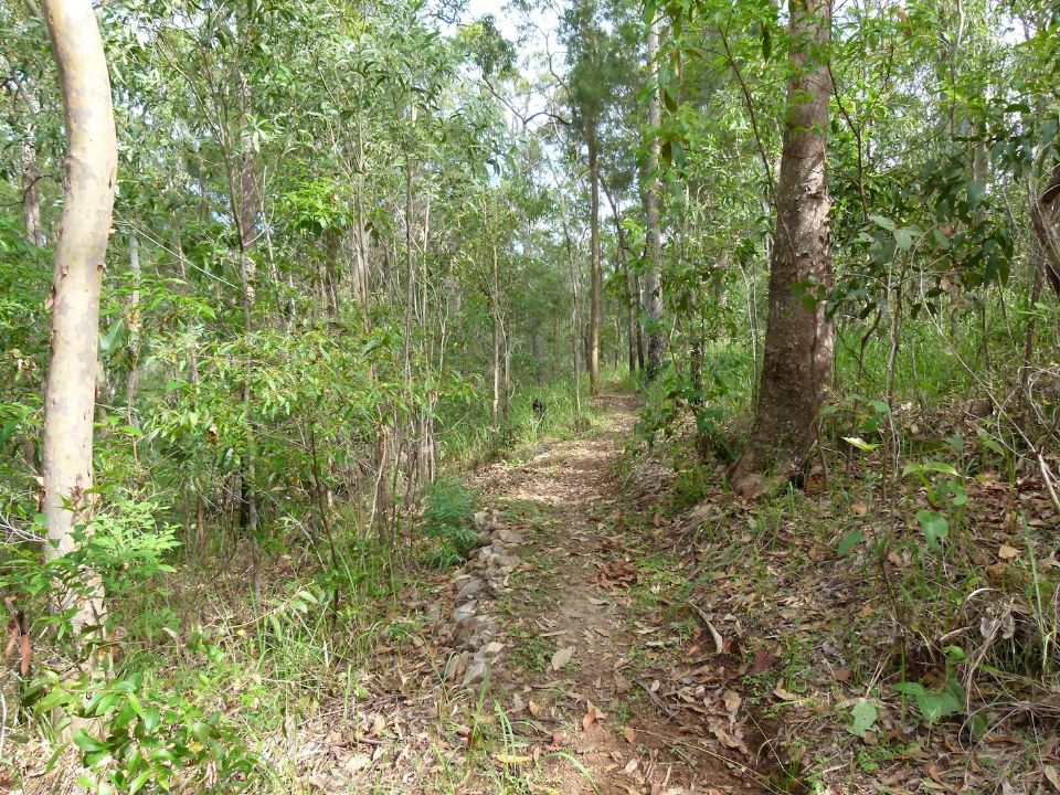 Like finding a historic trail