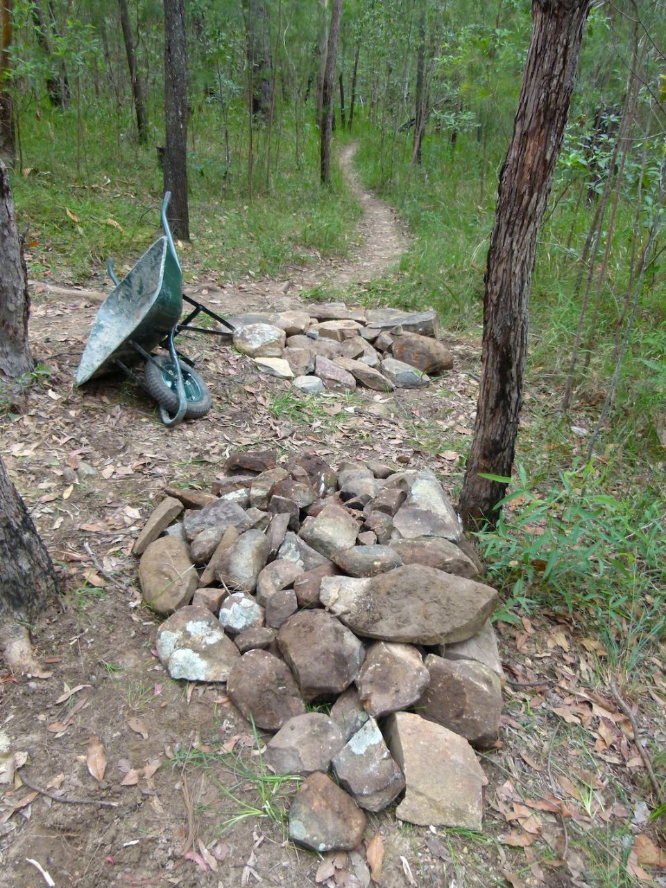 Trail merge beginning to be the only trail