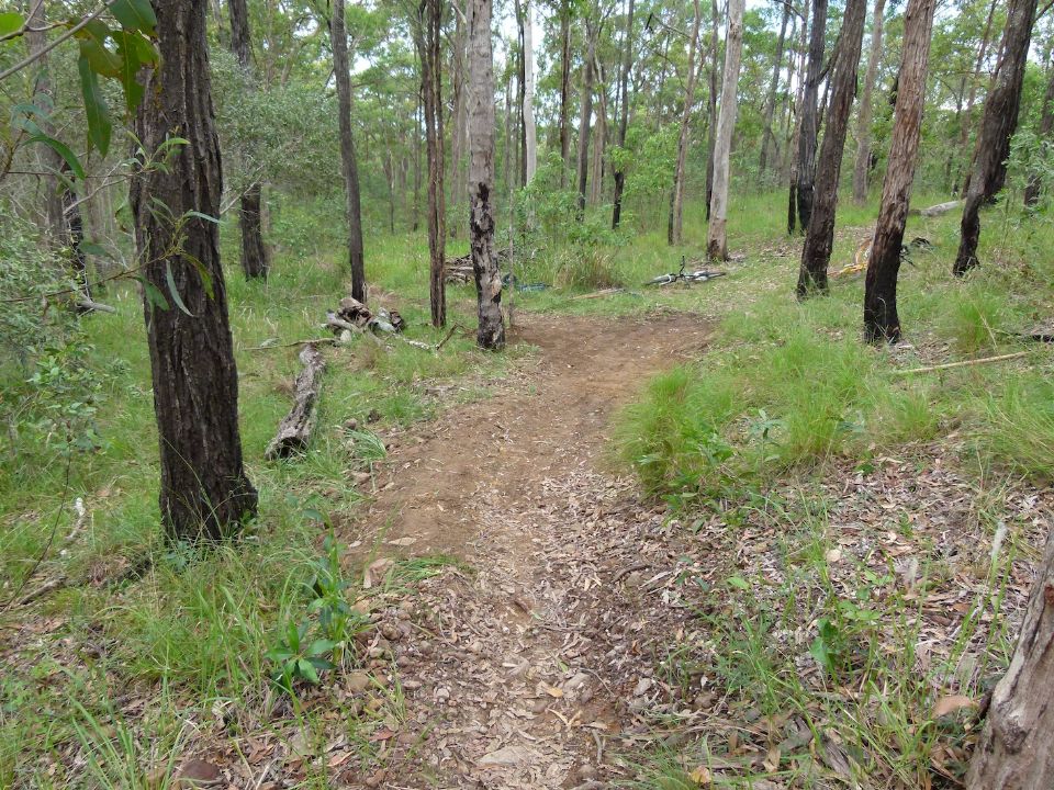 Guess which way the trail goes?  Guess wrong
