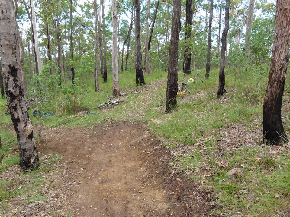 The new trail line looks old