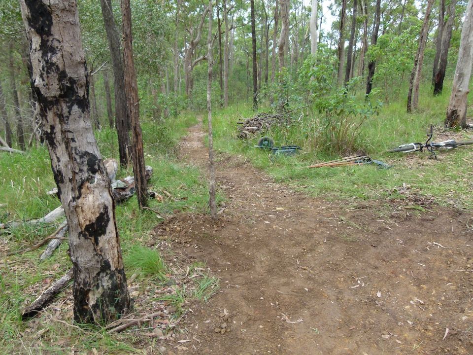 The old trail line looks good after we added stuff