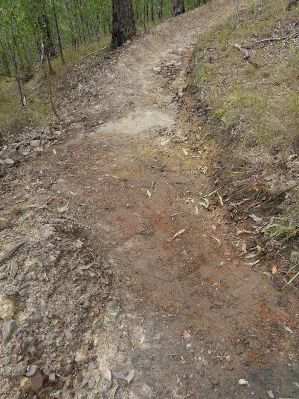Bottom drain