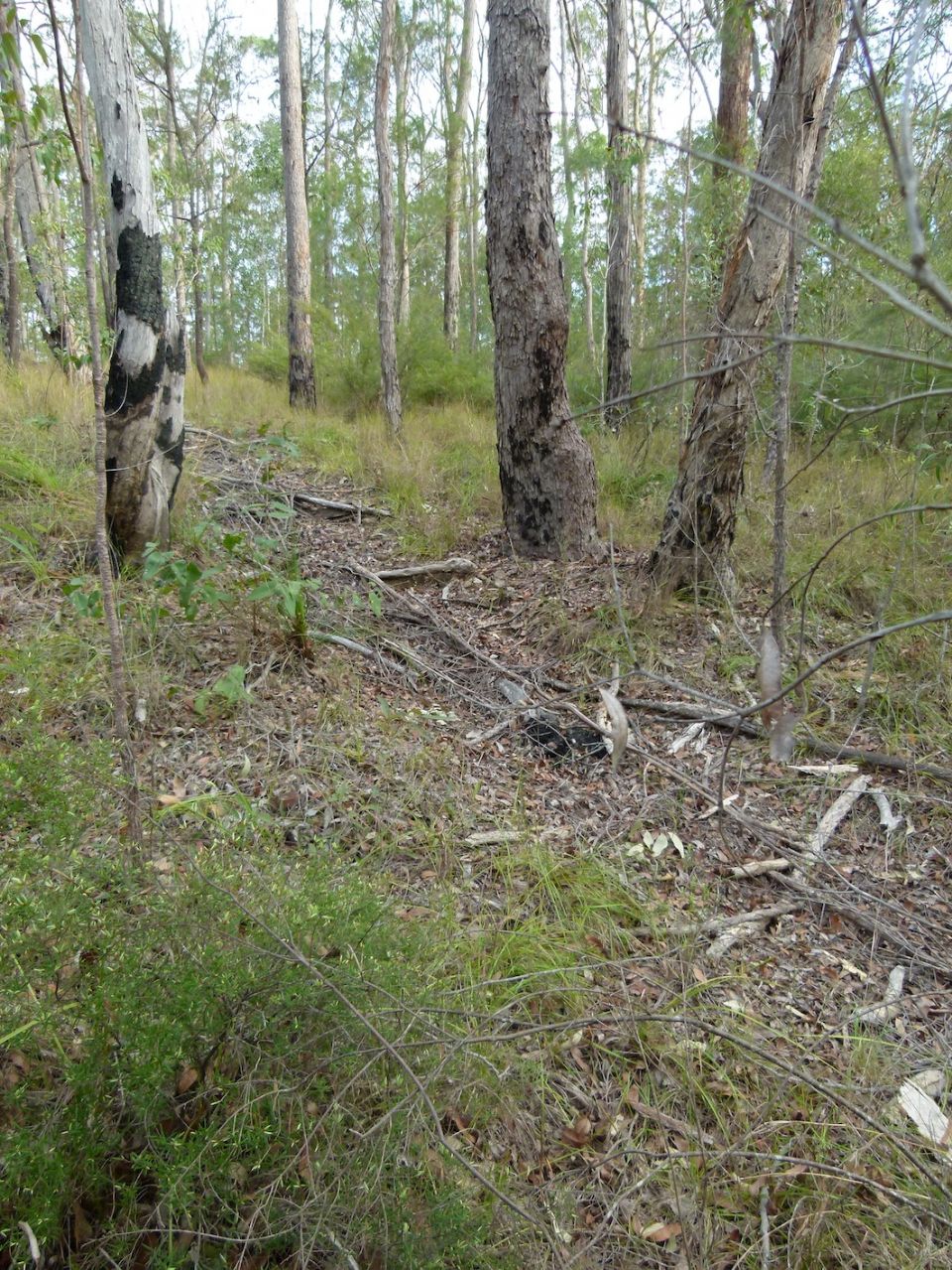 Old trail closure doing well despite flooding