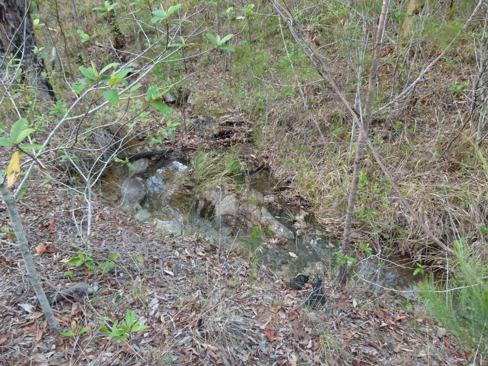 Creek below Barney's