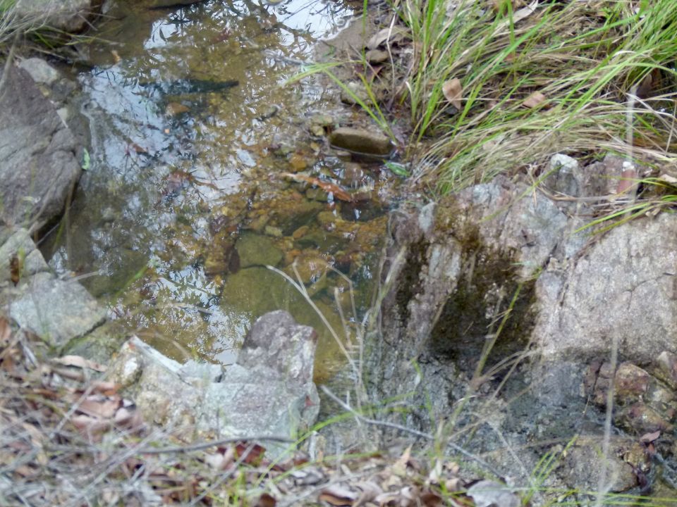 Clear water after a storm
