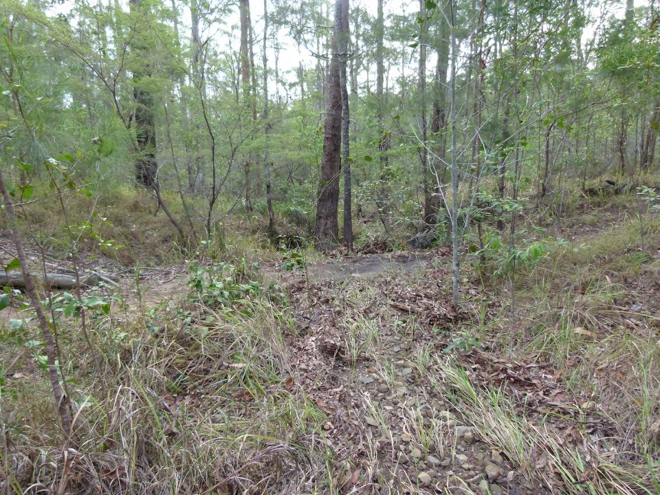 Creek across Exit Trail after a flood