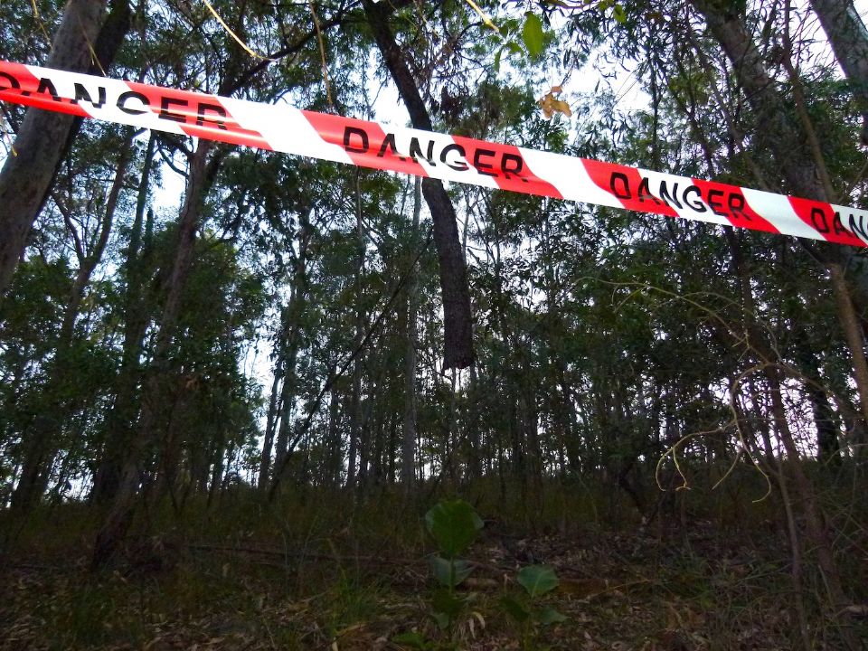 Danger above