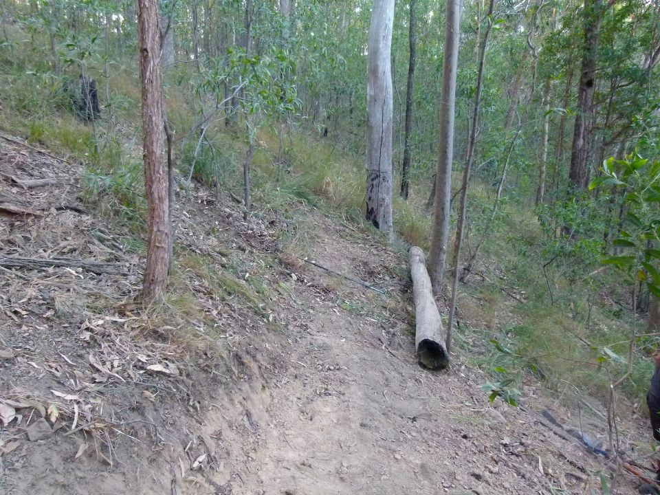 Beginning of the line