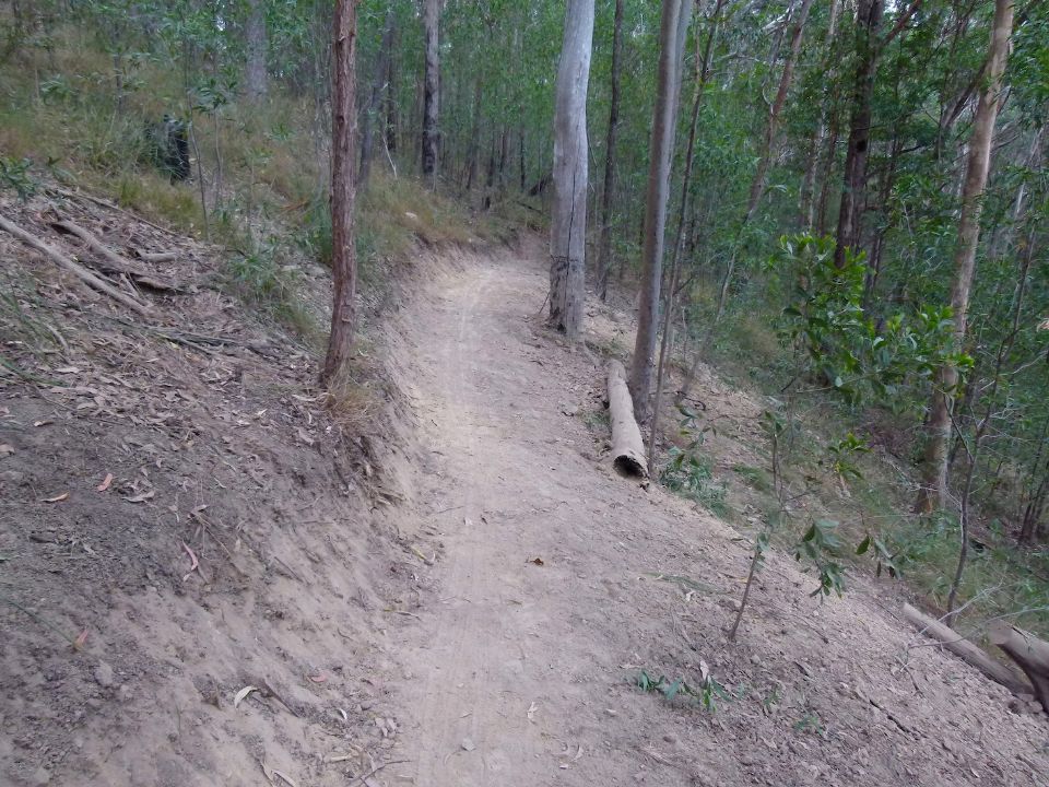 Maybe some rock will be used to fill down to the log.  Maybe not