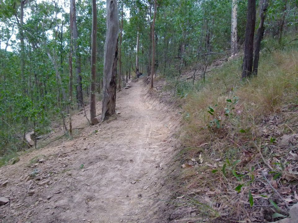 The trail is well above the log