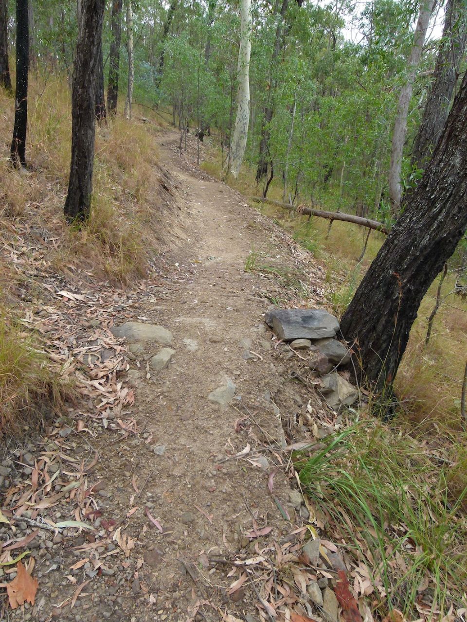 We started work on Three Hills here after a year away