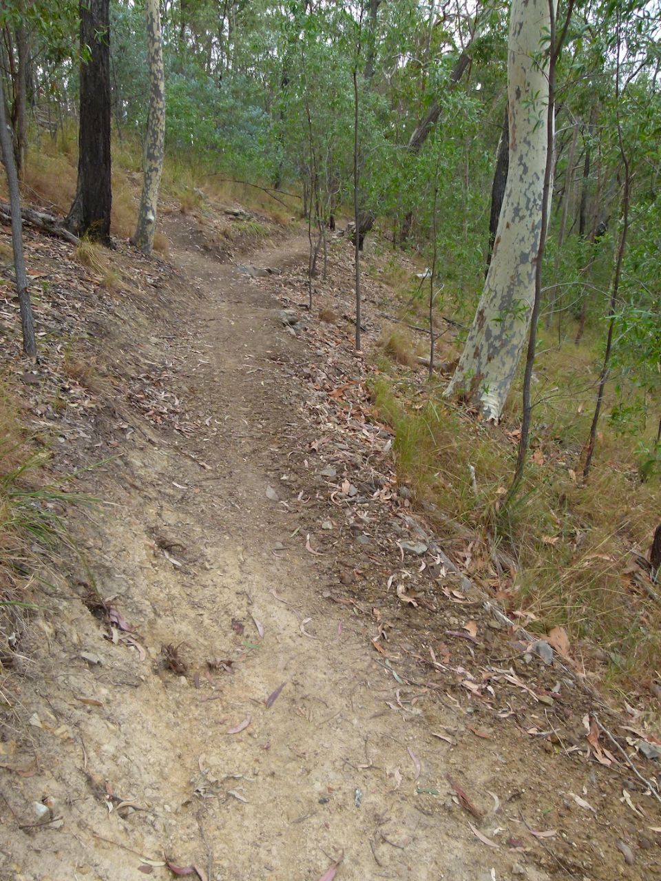 Exit from the step-down is draining well