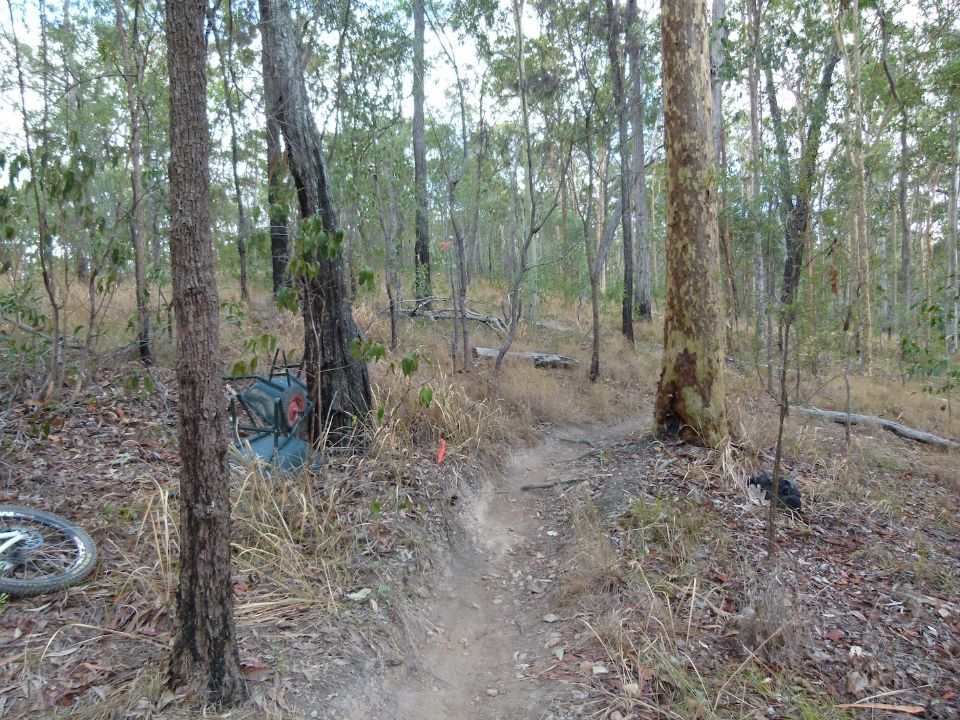 New line flagged on Pete's