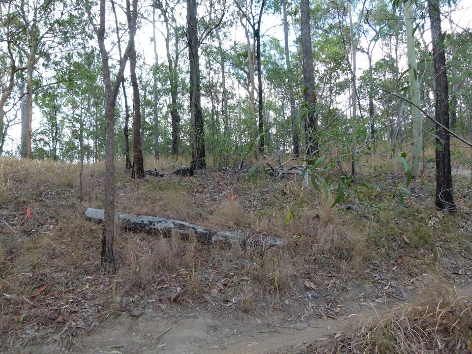 Sideways view 2